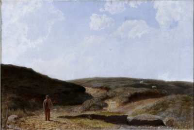 Plas Mawr - Cuthbert Cartwright Grundy