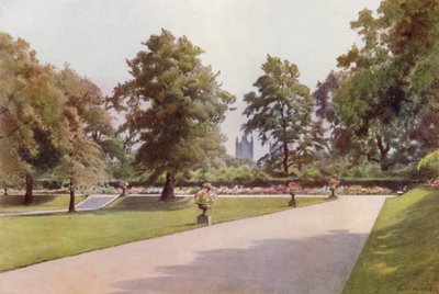 Regardant vers Westminster, jardin de Marlborough House - Cyril Ward