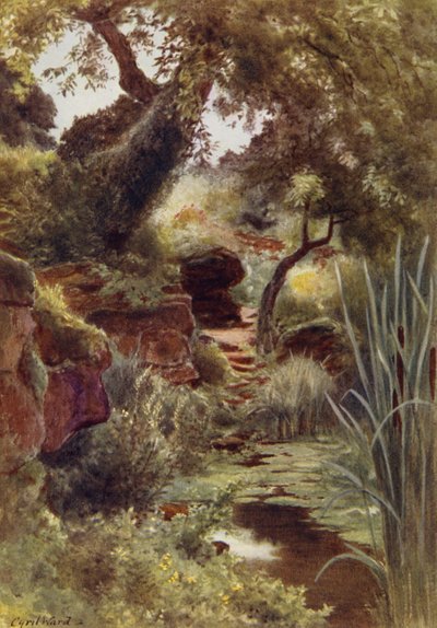 Partie du jardin de rocaille près du lac supérieur, Sandringham - Cyril Ward