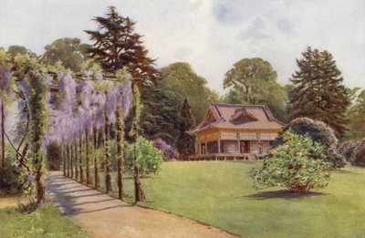 La Maison Japonaise et Pergola de Glycine, Bagshot Park - Cyril Ward
