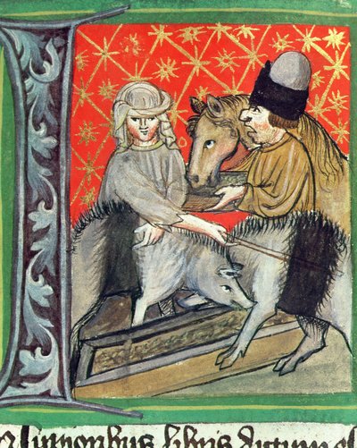 Élevage de porcs et de chevaux, de Opus Ruralium Commodorum par Pietro de Crescenzi (1230-1321) - Czech School