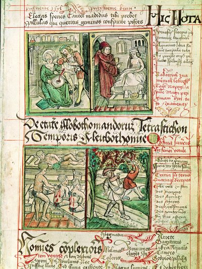 Comment guérir les maladies, de Tractatus de Pestilencia - Czech School