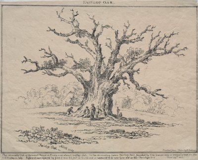 Fairlop Oak - D. H. Redman