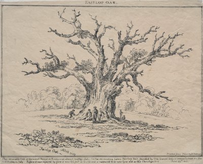 Fairlop Oak - D. H. Redman