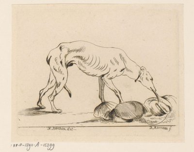 Chien mangeant - D. Merrem