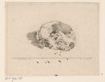 Petit chien endormi - D. Merrem