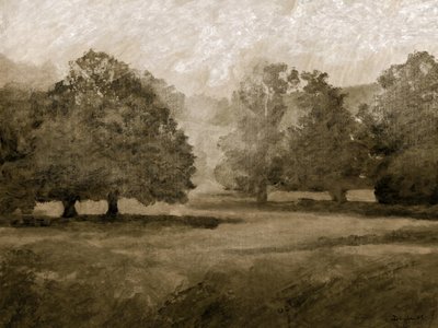 Parc du château - Dan Hobday