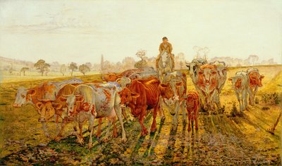 Soirée d