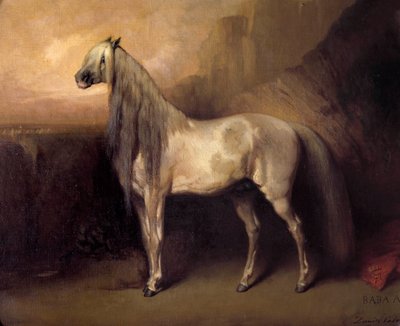 Baba Ali, cheval arabe par le général Henri d