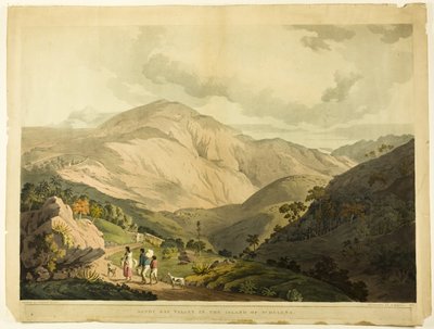 Vallée de Sandy Bay, Sainte-Hélène - Daniel Havell
