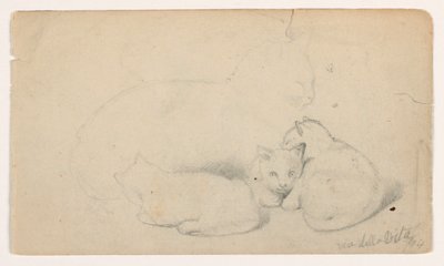 Dessin, chat et trois chatons ; verso : homme arabe assis recevant un homme, probablement d