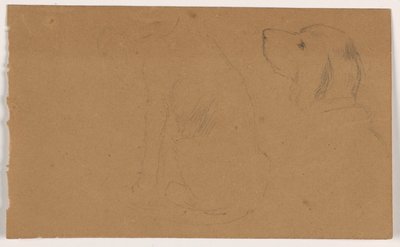 Dessin, Dash (un Setter), tête et corps, vers 1862 - Daniel Huntington