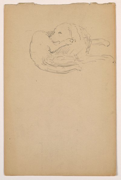 Dessin, Dash (un Setter), vers 1862 - Daniel Huntington
