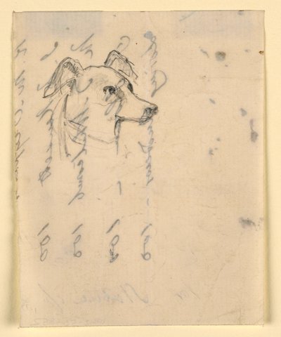 Dessin, tête de chien, probablement Milo (un Pointer), vers 1862 - Daniel Huntington