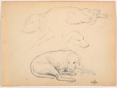 Dessin, Milo (un chien d
