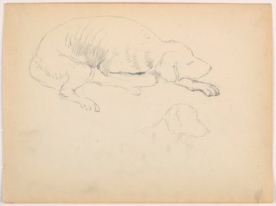 Dessin, Milo (un chien d