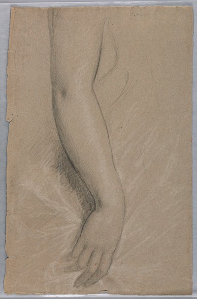 Dessin, Mme Rutherford B Hayes, 1880 - Daniel Huntington