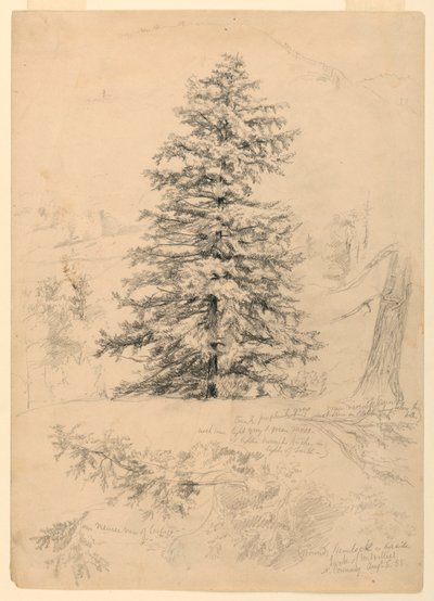 Dessin, étude d