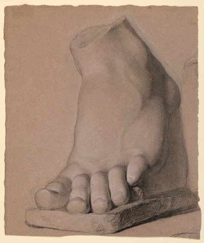 Pied gauche d