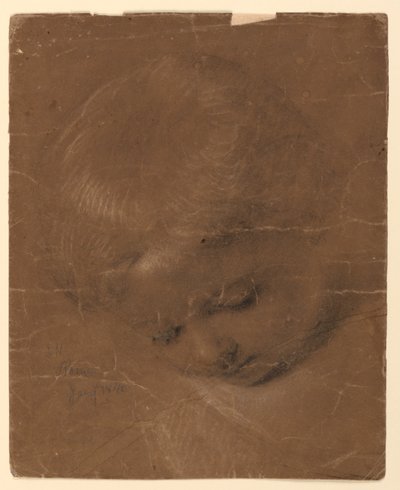 Étude de la tête d