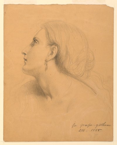 Étude de tête de femme pour "Les Vendangeurs" - Daniel Huntington