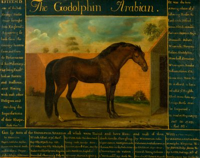 Le Godolphin Arabian - Daniel Quigley