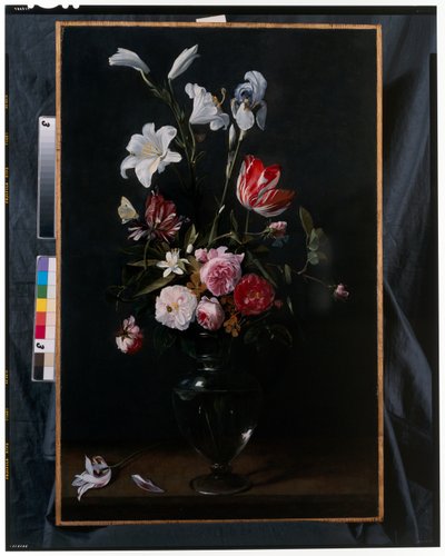 Guirlandes de roses, tulipes, jonquilles et autres fleurs suspendues à des rubans bleus - Daniel Seghers