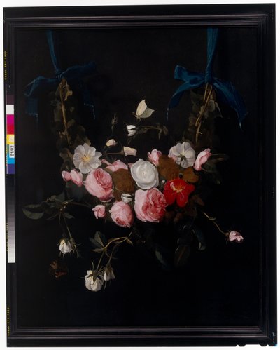 Guirlandes de roses, tulipes, jonquilles et autres fleurs suspendues à des rubans bleus - Daniel Seghers