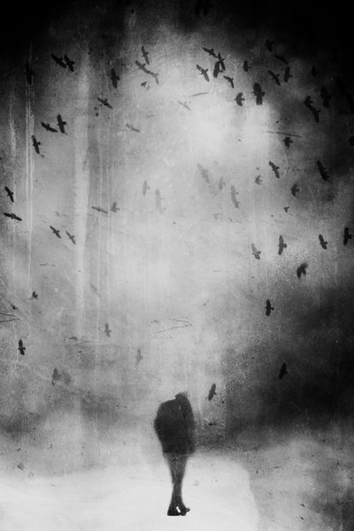  - Daniela Riegler