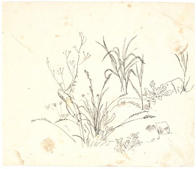 Herbe - Dankvart Dreyer