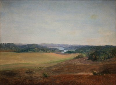Paysage près de Silkeborg, Jutland - Dankvart Dreyer