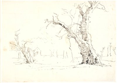 Paysage avec grands chênes, à gauche quelques maisons - Dankvart Dreyer