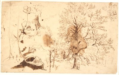 Étude avec arbres, plantes et souches - Dankvart Dreyer