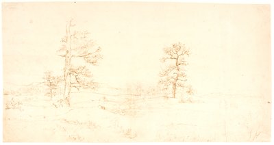 Vue sur un paysage vallonné avec quelques chênes solitaires - Dankvart Dreyer