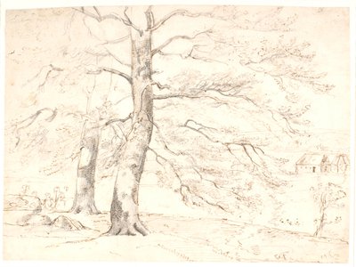 Vue sur un paysage, au premier plan de grands hêtres - Dankvart Dreyer
