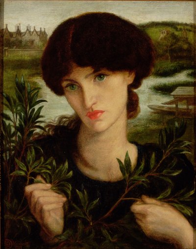 Saule d