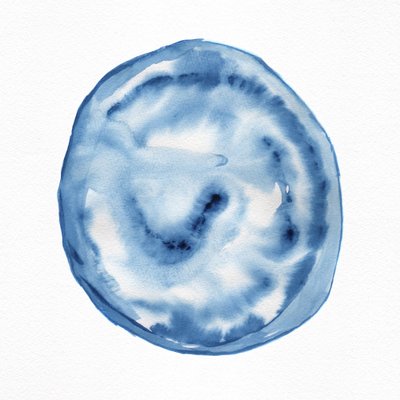 Tourbillon indigo fluide - Danushka Abeygoda