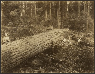 [Scène de l