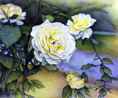 Roses d