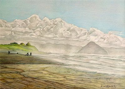 Littoral californien, 2017 - Darrell Windjack