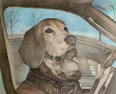 Patience - Darrell Windjack