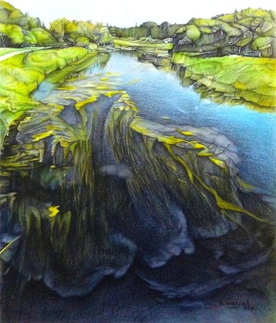 Ce qui se cache dessous - Darrell Windjack