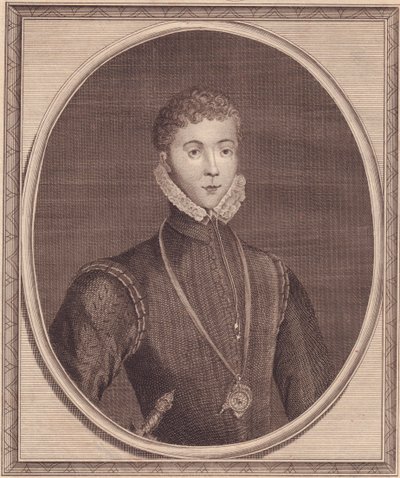 Portrait de Henry Stuart, Lord Darnley (1545-1567), roi consort d