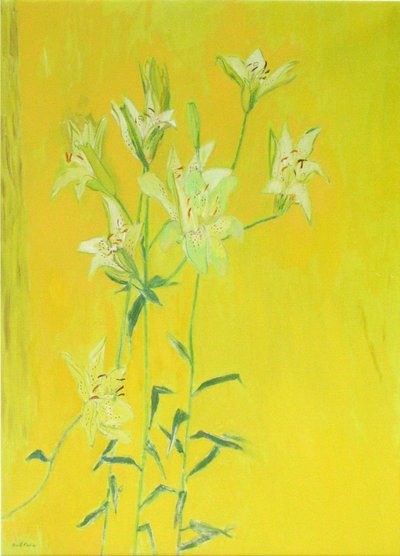 Lys sur fond jaune - David Alan Redpath Michie