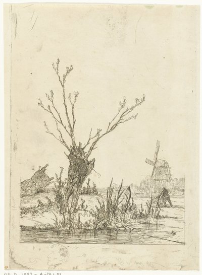 Paysage d
