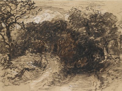 Un chemin creux près de Harborne, Derbyshire - David Cox