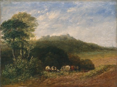 Château de Dudley; 1853 - David Cox