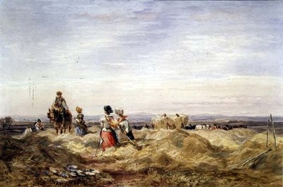 Dans le champ de foin - David Cox