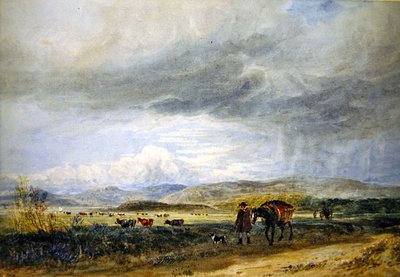 Prés de Llugwy - David Cox