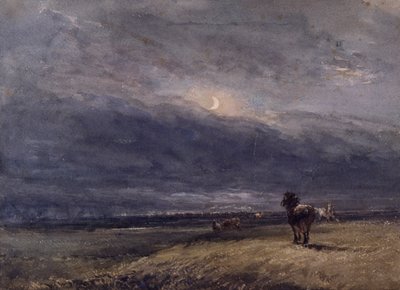 Le Train de nuit - David Cox